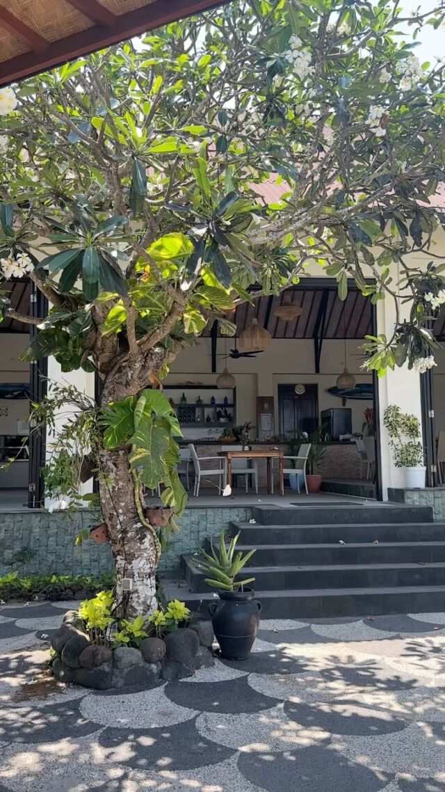 Come find us tucked away between The Mulia Hotel and Geger Temple to refresh before and after your beach day. Ocean views from every angle. 🌞🐚 #bali #balifood #nusadua #nusaduafood